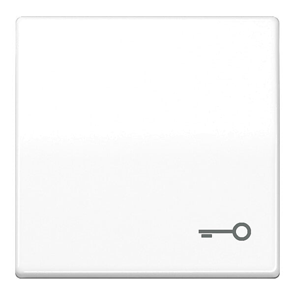 JUNG Wippe Symbol TÜR aws für Taster AS 591 T WW